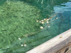 -丽江泸沽湖景区