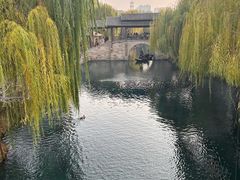 -百脉泉景区