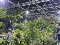 -盛彼得温泉度假酒店