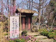 -圩墩遗址公园
