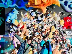 -青岛嘉年华主题乐园