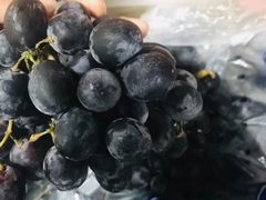 -百果园PAGODA(松佛路店)