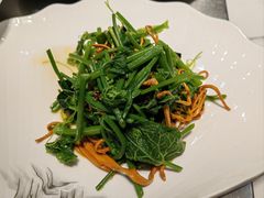 炝拌山野菜-伊帆食府·青海地方特色美食