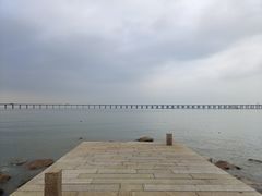 -宝安西湾红树林湿地公园