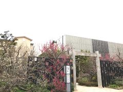 -南紀白浜 浜千鳥の湯 海舟