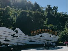 -西双版纳原始森林公园