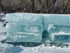 -长春市南湖公园