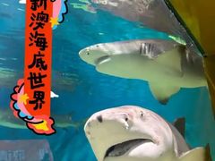 -秦皇岛新澳海底世界