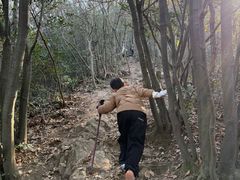 -午潮山国家森林公园