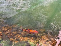 -湖洞水自然风景区