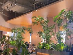 -gaga(深圳福田星河COCO Park店)