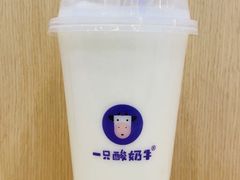 -一只酸奶牛(时代天街A馆店)