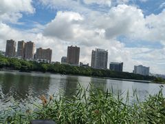 -南宁南湖公园