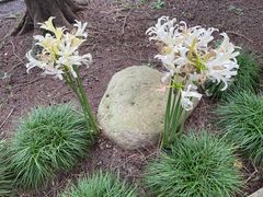 -西郊宾馆·1921餐厅