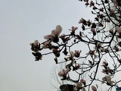 -微软亚太研发集团大厦(微软总部)