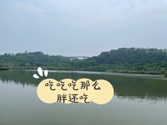 -飞凤山奥体公园