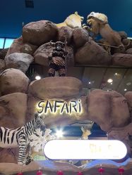 -卡通尼·Safari非洲探索乐园·生日会(金桥国际商业广场店)