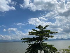 -宝安西湾红树林湿地公园