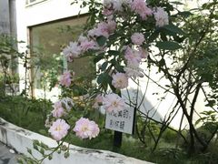 -三溪村
