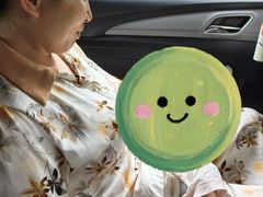-田螺阿姨自营月嫂·育儿嫂(高新店)