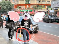 香蕉优酪-YallaYalla丫拉中东料理小吃·清真(太古里店)