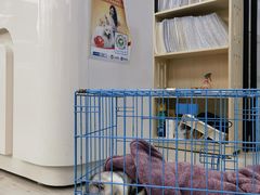 -良伴无忧宠物医院(泰欣嘉园店)