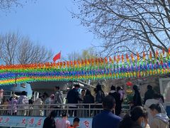 -富斯特索道