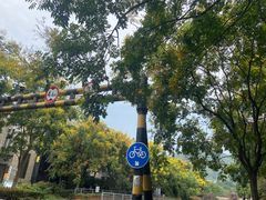 -姐妹面馆(水澄路店)