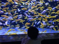 -成都浩海立方海洋公园