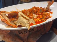 -姑苏家宴·苏帮菜·松鼠桂鱼(苏州总店)