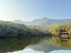 -杭州半山国家森林公园