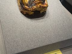 -珠海市博物馆