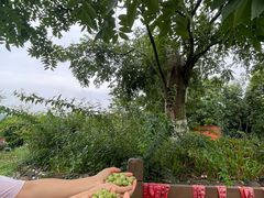 -仙海旅游度假区