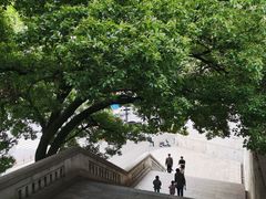 -武昌江滩