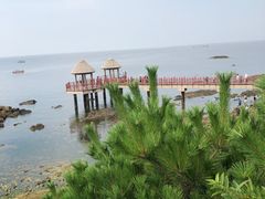 -养马岛旅游度假区
