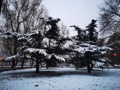 -莲花池公园