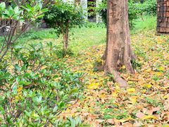 -广州市紫泥堂文化创意园景区