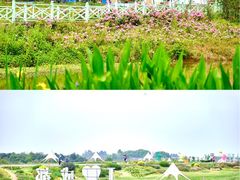 -空港花田景区