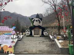 -栾川竹海野生动物园