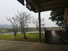 -飞来湖湿地公园