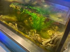 -V-ONE西雅图海鲜自助餐厅(仓山万达广场店)