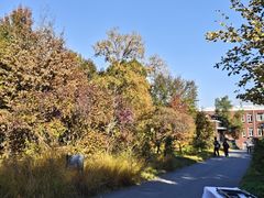 -国家植物园南园