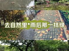 -杭州植物园