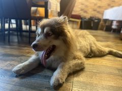 -玩坞轰趴馆·户外团建聚会主题生日派对馆(世豪广场店)