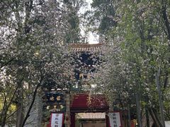 -昆明市金殿名胜区