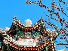 -颐和园