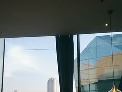 -羲和雅苑•北京烤鸭(乐园道万象城店)