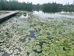 -白鹭湾湿地公园