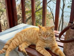 -终南山南五台景区