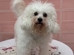 -FAELING PETS美天灵宠物(合生汇店)